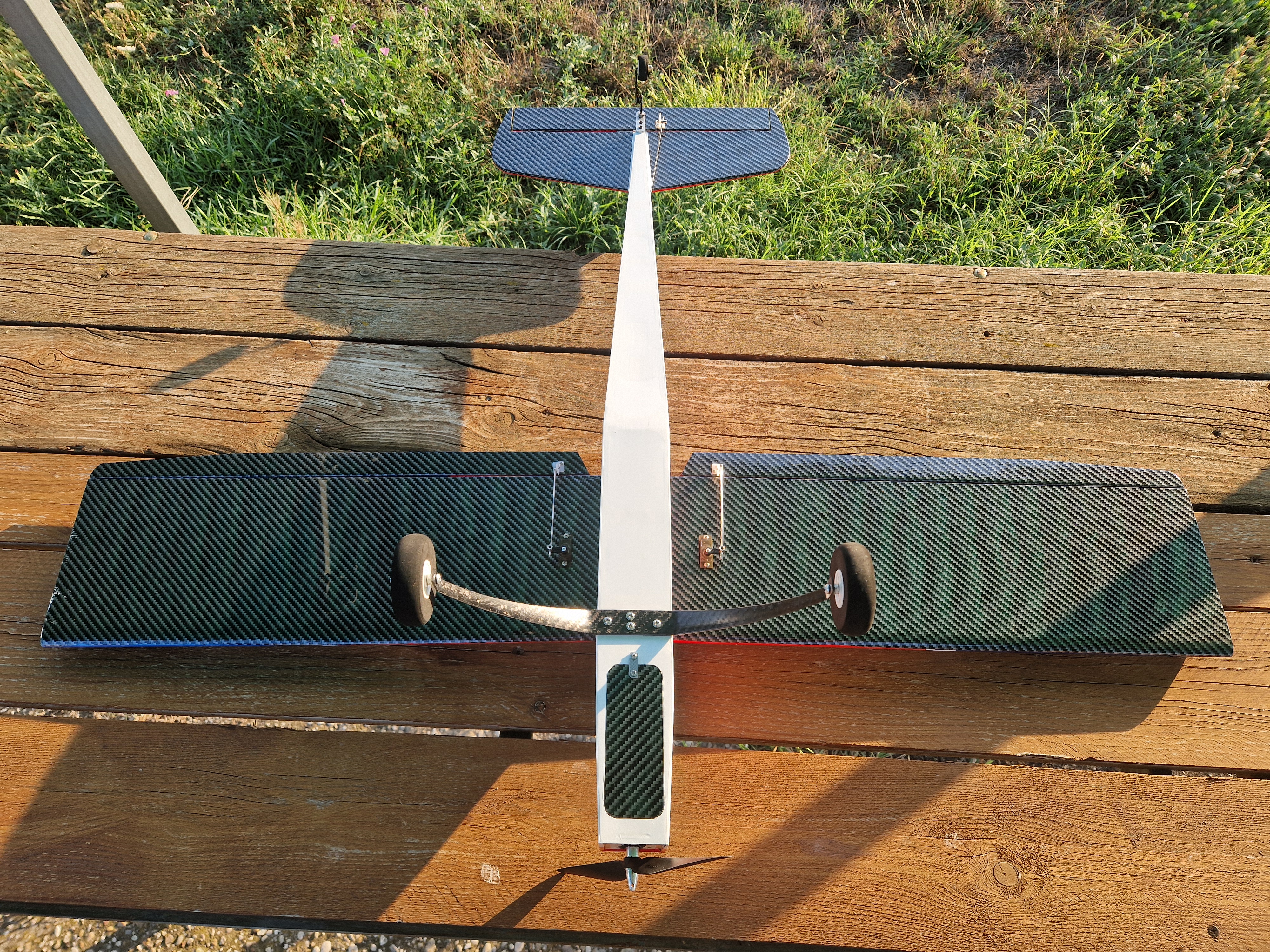 Anteprima 2 di Phoenix