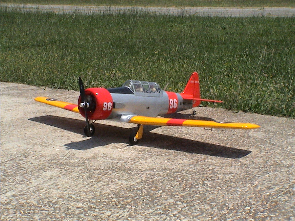 Anteprima 3 di Texan