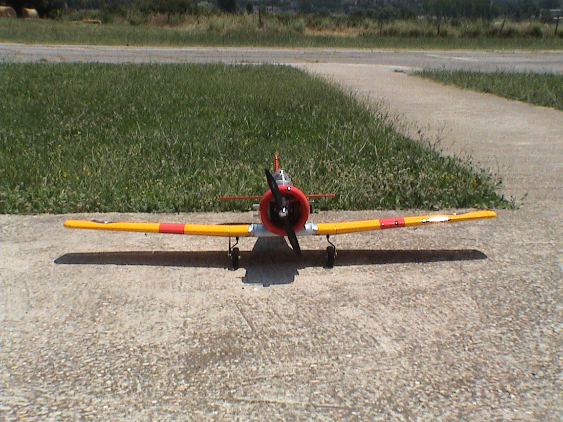 Anteprima 1 di Texan
