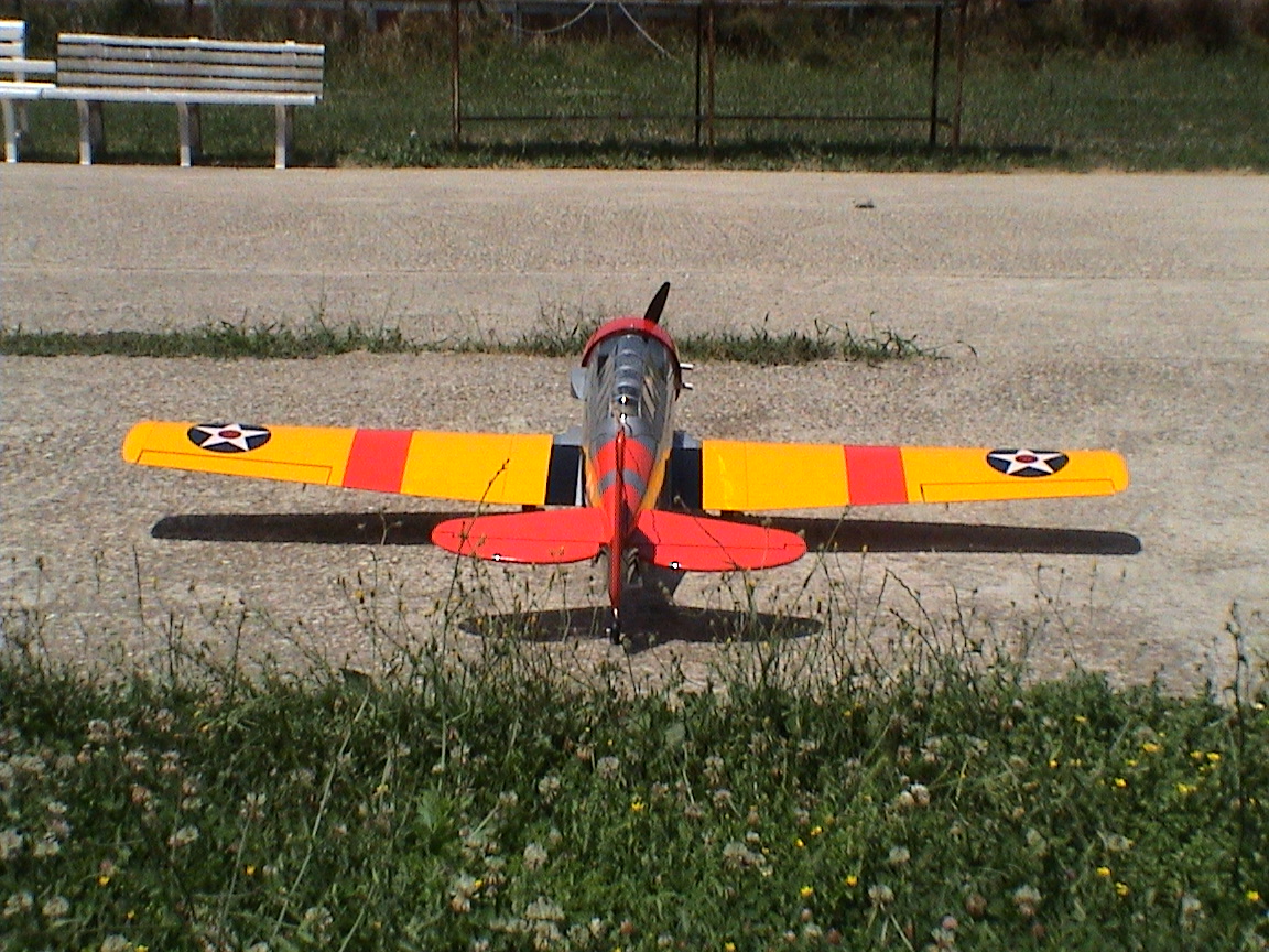 Anteprima 2 di Texan