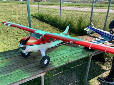 Anteprima 1 di Beaver V2