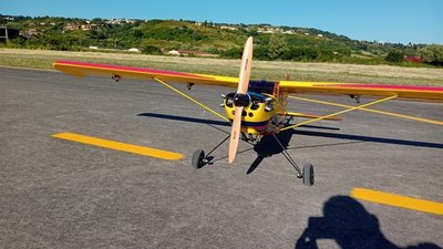 Anteprima 3 di Timber 110" Hangar 9