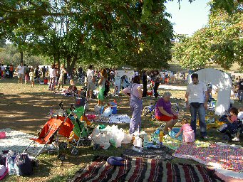 Le domeniche dei picnic
